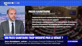 Pass sanitaire: le Sénat adopte le projet de loi largement modifié