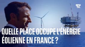 Inauguration du premier parc éolien offshore: quelle place occupe l'énergie éolienne en France?