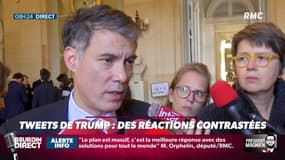 Président Magnien ! : Les tweets de Trump suscitent des réactions contrastées - 14/11