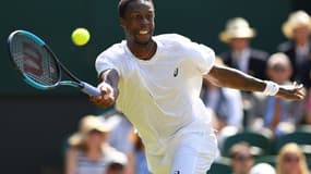 Monfils