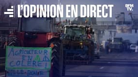 Des agriculteurs bloquent l'autoroute A64 pour protester contre la fiscalité et la baisse des revenus, près de Carbonne, au sud de Toulouse, le 22 janvier 2024.
