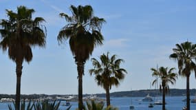 Vue de la baie de Cannes. 