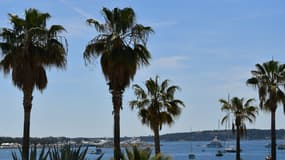 L'accident s'est produit en 2019 dans la baie de Cannes.