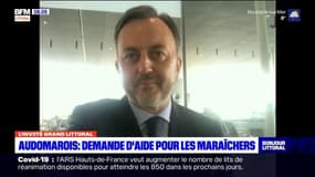 Pas-de-Calais: le maire de Saint-Omer demande de l'aide pour sauver maraîchages