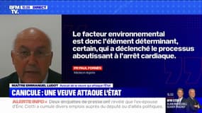 "Derrière cette procédure, il y a le souhait que cet homme ne soit pas mort pour rien", affirme Emmanuel Ludot, avocat de la femme qui attaque l'État en justice pour inaction climatique