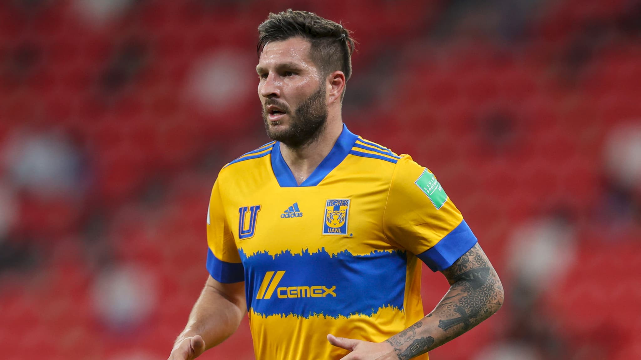 France team: Gignac could play in the Tokyo Olympics - The Indian Paper