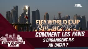 Coupe du monde 2022 : Comment les supporters s'organisent-ils au Qatar ?