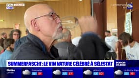Alsace: le vin nature célébré à Sélestat 
