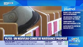 PLFSS : un nouveau congé de naissance 