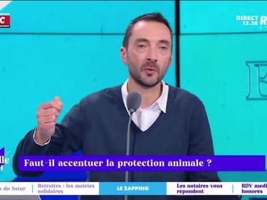 Le Zapping RMC - 27/01