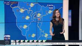 Météo Paris Île-de-France du 15 mai: Des températures douces ce matin