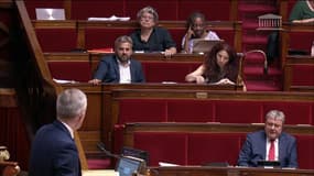 À l’Assemblée nationale, les députés au bord du burn-out
