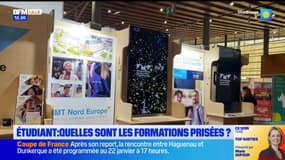 Quelles sont les formations étudiantes prisées dans le Nord et le Pas-de-Calais?