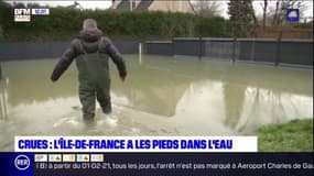 Crues: les riverains les pieds dans l'eau en Île-de-France