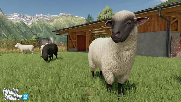 Des moutons dans Farming Simulator 22.