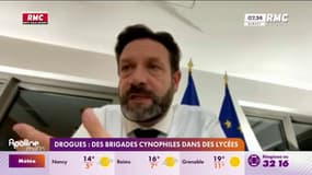 Drogues : des brigades cynophiles dans des lycées 