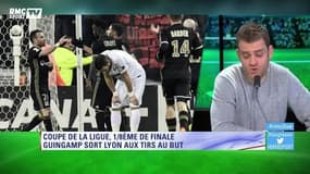 Rothen sur Lyon : "C’est un bide"