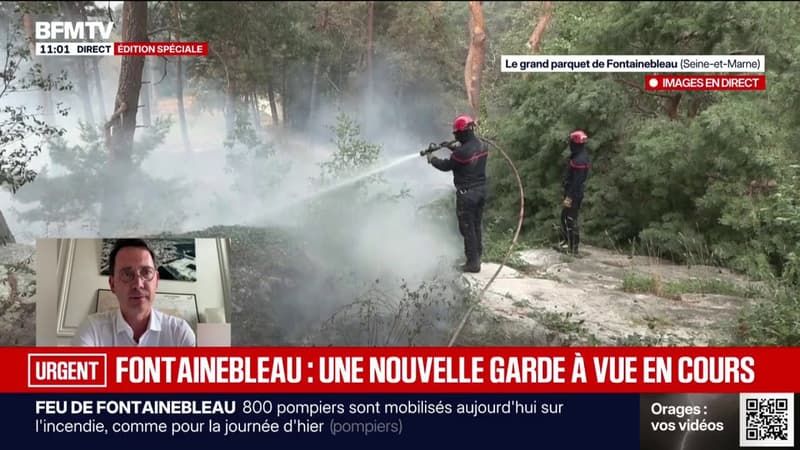 Incendie de Fontainebleau: "Ne confondons pas tout. Que les criminels soient arrêtés, jugés et condamnés, quelle que soit leur profession", déclare Julien Gondard, maire de Fontainebleau