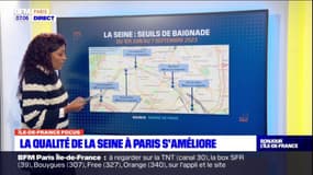 Paris: la qualité de la Seine s'améliore