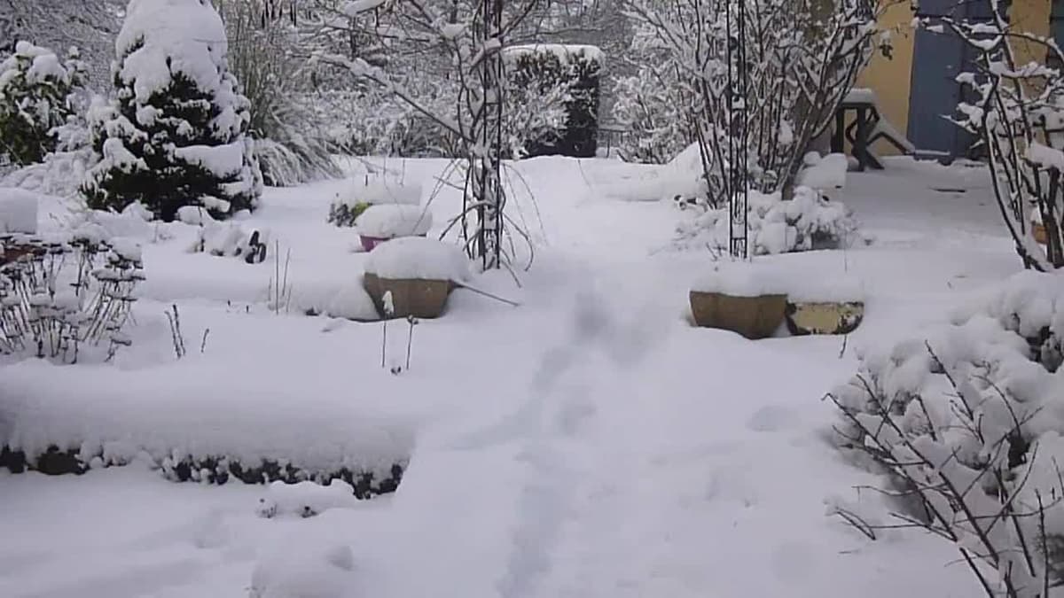 placeholder video