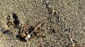 Cette photo prise à Marseille, dans le sud de la France, montre des morceaux de plastique sur la plage le 27 octobre 2020.