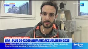 L'invité de Bonjour Littoral du mardi 20 janvier 2026 - Xavier Schmitt