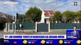 Seine-et-Marne: un homme interpellé nu après avoir agressé sa grand-mère