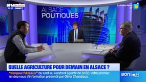 Des élections à la chambre d’agriculture d'Alsace sont en cours, quelle place à la santé au travail dans les différentes listes? 