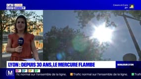 Lyon: en 30 ans, la ville a subi une hausse importante des températures