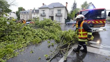 Deux personnes ont été blessés dont un grave dans une chute d'arbre, en raison de vents violents - Mardi 9 février 2016