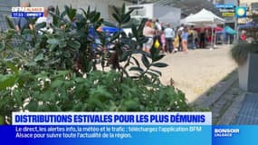 Strasbourg: des distributions alimentaires estivales pour les plus démunis
