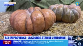 Aix-en-Provence: la saison de la courge débute 