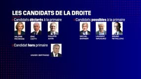 Les prétendants déclarés ou pressentis à droite avant la primaire. 