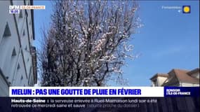 Melun: les habitants inquiets par la sécheresse précoce