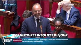 A l'Assemblée Nationale, les lapsus et les punchlines (ratées) ont toujours la cote