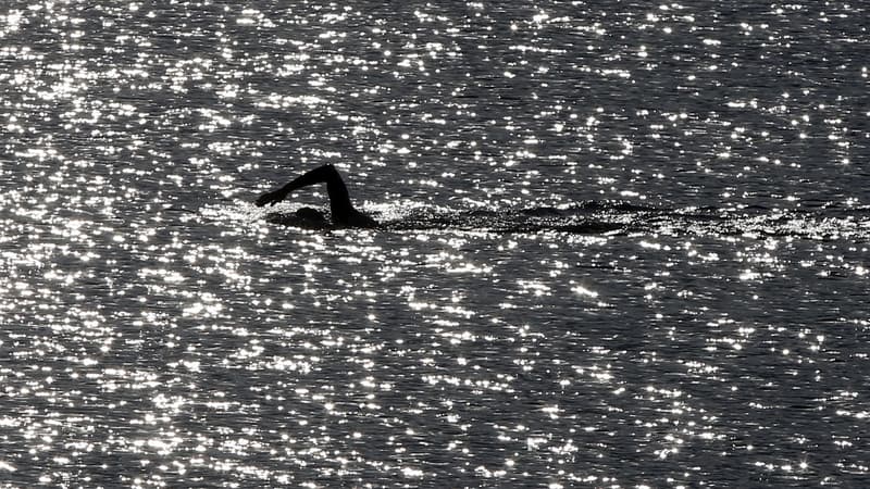 Natation