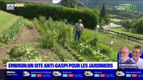 Embrun: un site anti-gaspillage pour les jardiniers amateurs