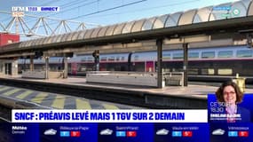 SNCF : préavis levé mais un TGV sur deux demain
