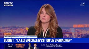 Budget 2026: Maud Bregeon assure que le Premier ministre proposera des rencontres "dans les jours à venir" avec l'ensemble des partis politiques