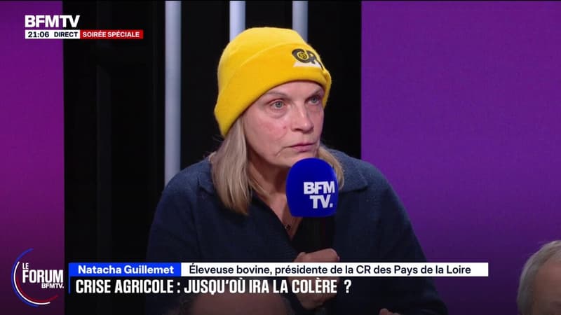 FORUM BFM - Colère agricole: "On a eu l'impression d'être des délinquants", affirme Natacha Guillemet, éleveuse bovine