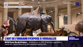 Yvelines: l'art de l'origami s'expose à Versailles