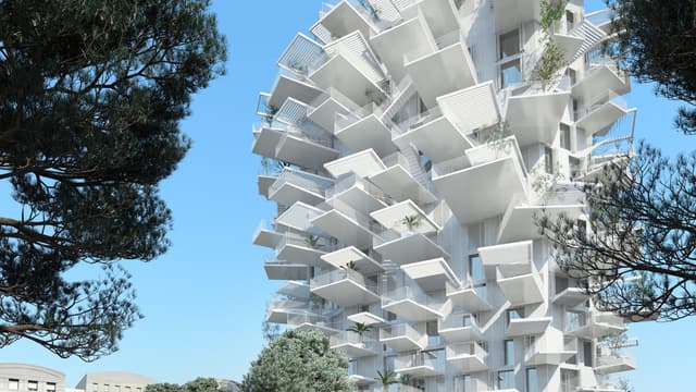 Perspective de "l'arbre Blanc"