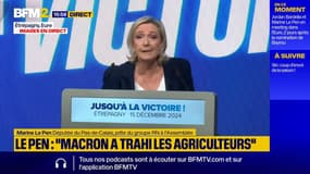 Mercosur/crise agricole: "une honte nationale", déclare Marine Le Pen, présidente du groupe RN à l'Assemblée