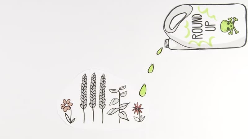 La vidéo de We move Europe, contre le glyphosate, est devenue virale sur internet.