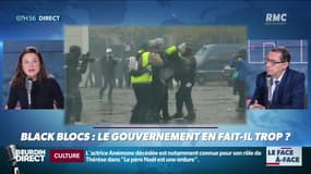 Bastié & Neumann : Le gouvernement en fait-il trop concernant les black blocs ? - 01/05