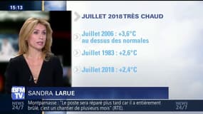 Ce mois de Juillet est le plus chaud en France depuis 2006