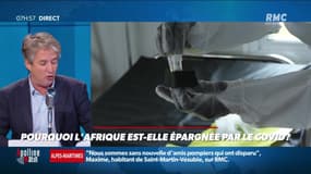 Nicolas Poincaré : Pourquoi l'Afrique est-elle épargnée par le Covid ? - 05/10