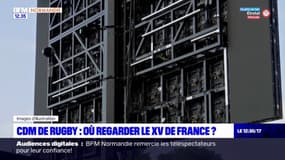 Coupe du monde de rugby: où regarder l'équipe de France en Normandie?