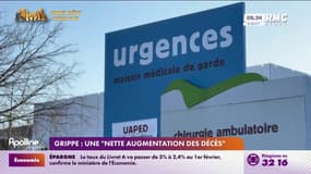 Grippe: une "nette augmentation des décès" 
