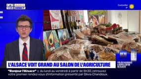 L'Alsace voit grand au salon de l'Agriculture